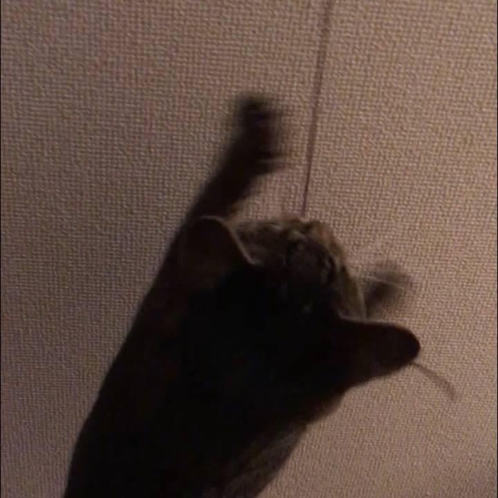 32d6b726 f01b 41da afac 739041c0e94e 1577019013804