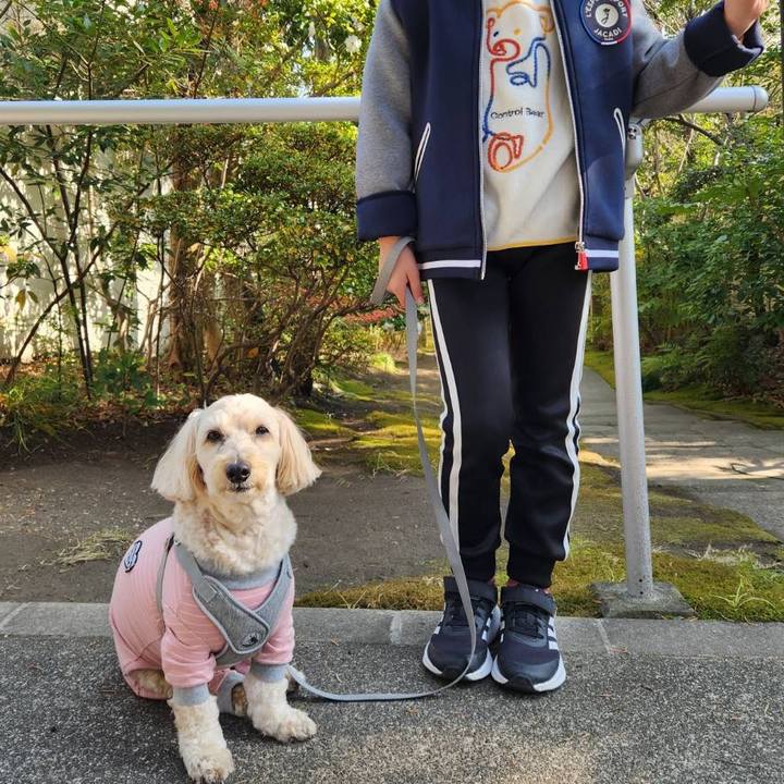 32d6be70 9b43 432c b832 0df20deba887 1767065161421