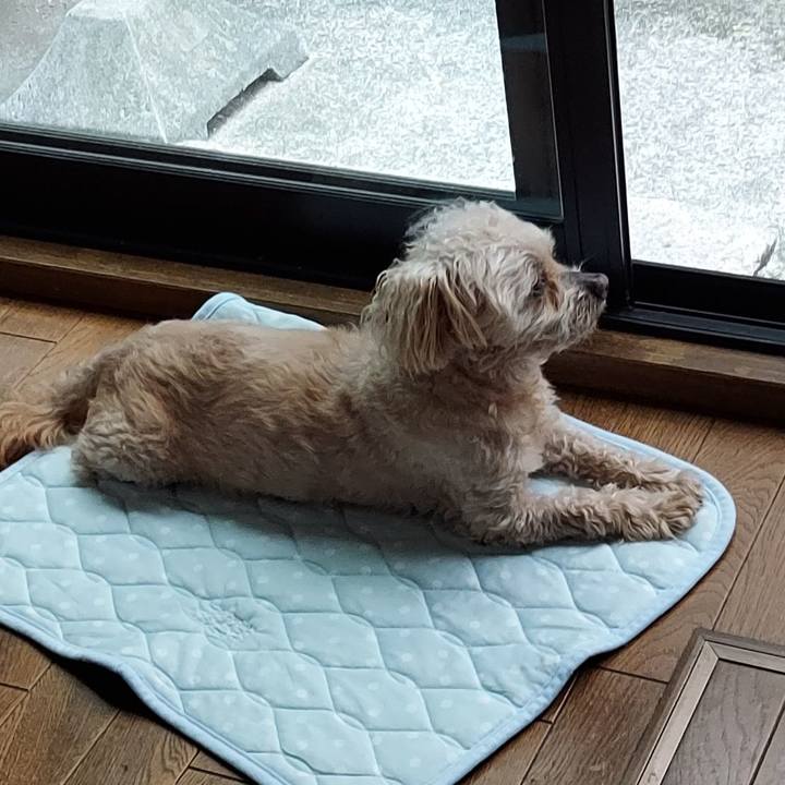 32d71c84 c96d 45ab 9b8b eb51e82f371c 1747539889952