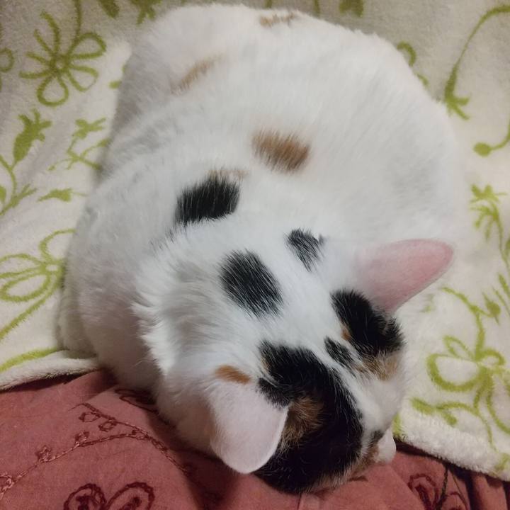 32d7c9d7 1bdd 4d24 80ba c826ff13b7f2 1653223660664