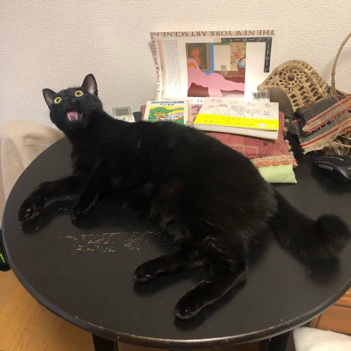 32d7de3f 9c62 482c ba07 5a2898193d20 1579733779939