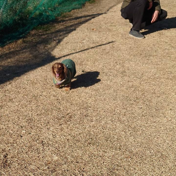 32d7e3cc e3c5 484b 99bd bec47dcb212d 1703901317748