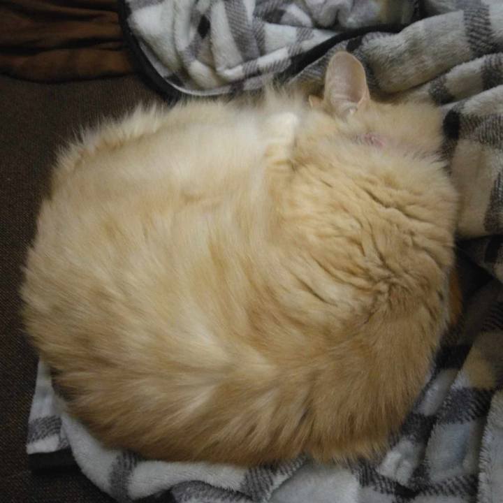 32d82bee 0c1b 4527 91fd 99425f37d3c4 1701263068241