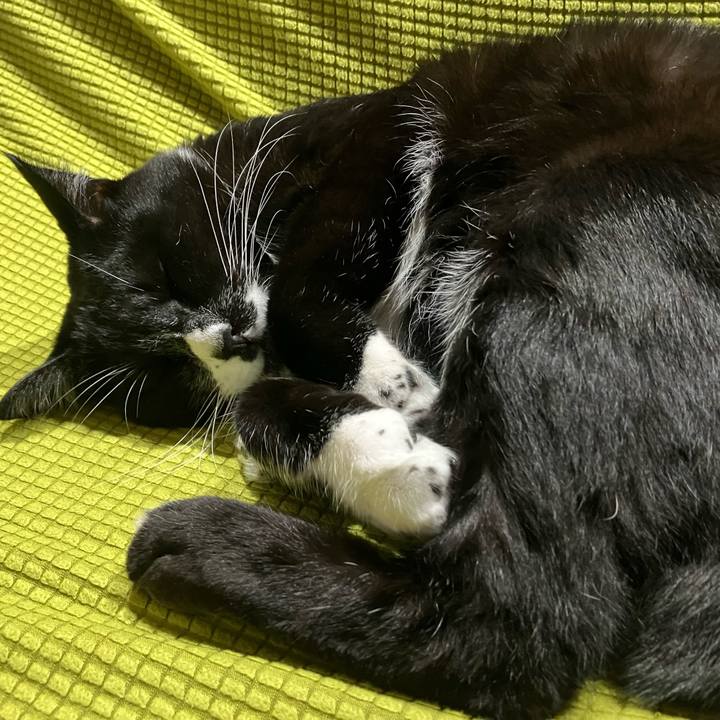 32d8427e c48a 47ee b973 f59dd2bafd4c 1734664661505