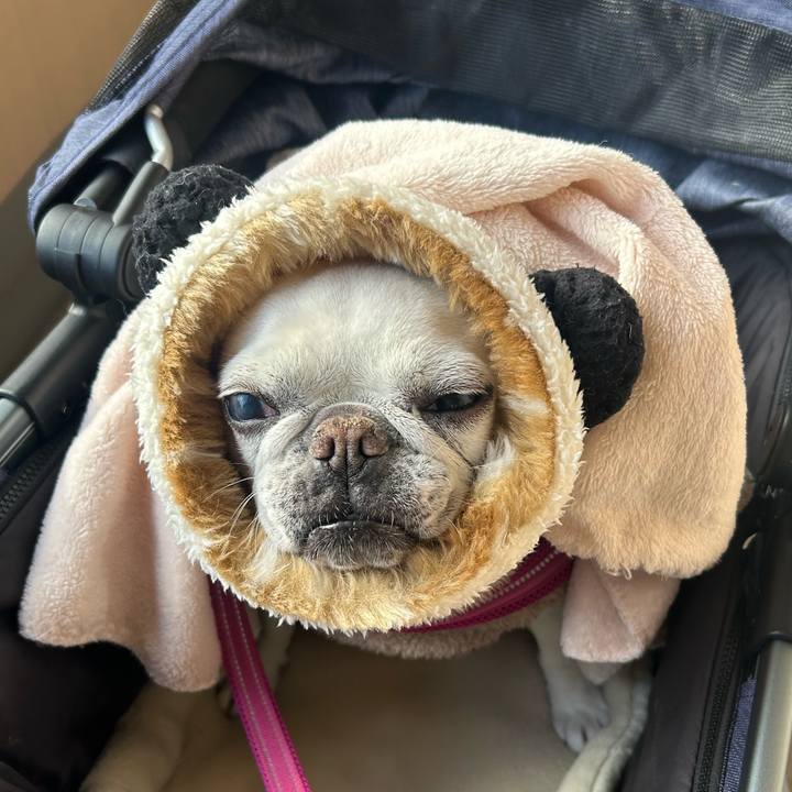 32d85cac 4d6c 405e 96d5 5eca2c1cce56 1735566280913