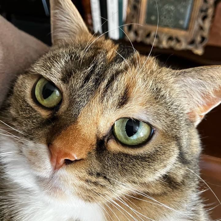 32d89579 b91f 4136 a7d5 5ba94c7b34d0 1771381177198