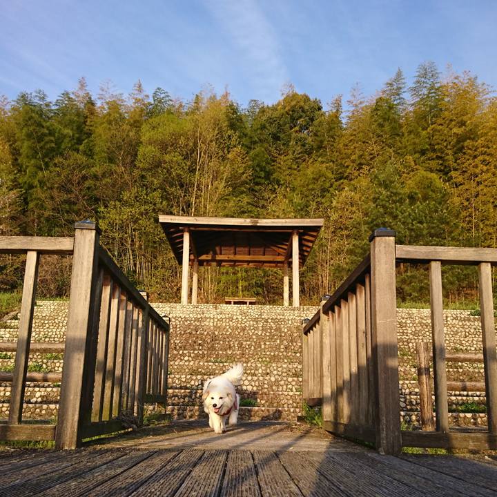 32d8e1aa 2d6f 451f aede 9045719516ca 1555363265000