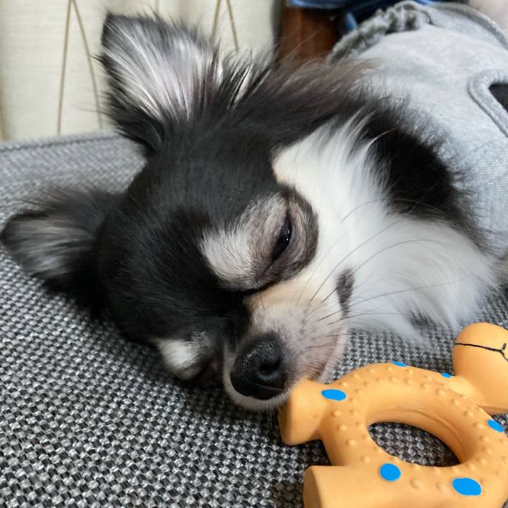 32d8f694 3471 486a 8355 23fa76c0b6c9 1640958934761