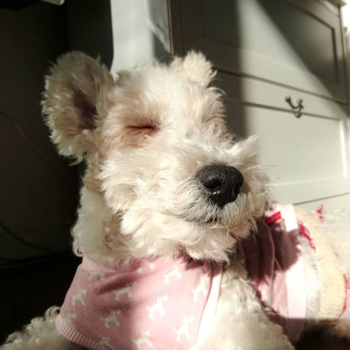 32d92477 6893 49ee adb8 f0a2a5fde6ae 1513125075652