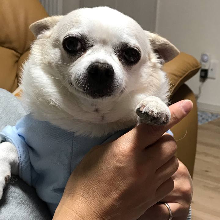 32d935e2 bc09 41da 99a5 d08445cb289a 1614748282107