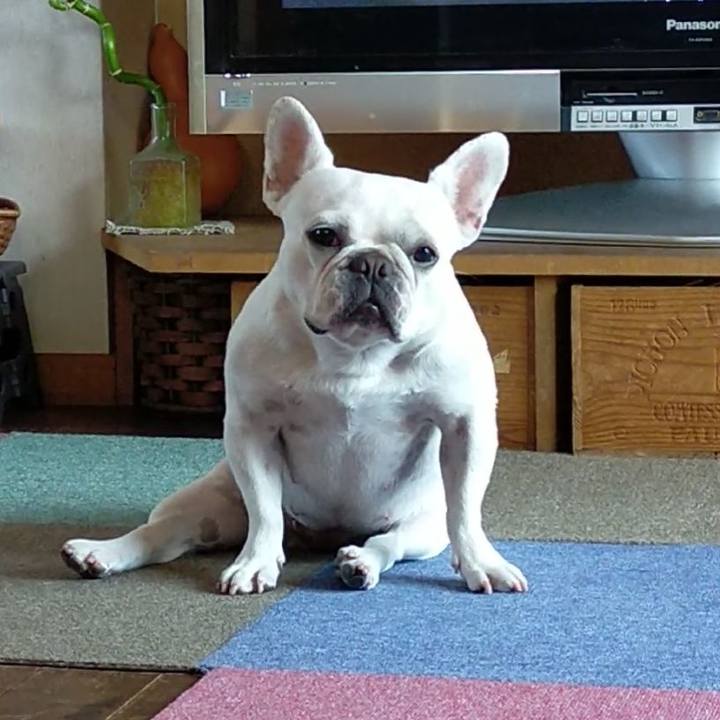 32d94086 8ea0 4256 b760 b8e2bff75f55 1656405864765