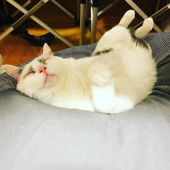 32d947a7 1d68 4e28 a9b7 826f66ea2fb1 1555718740637