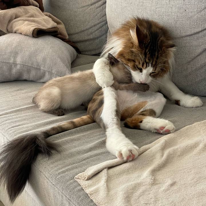 32d968df 9747 4848 8671 a7a6e38e9dae 1688421737774