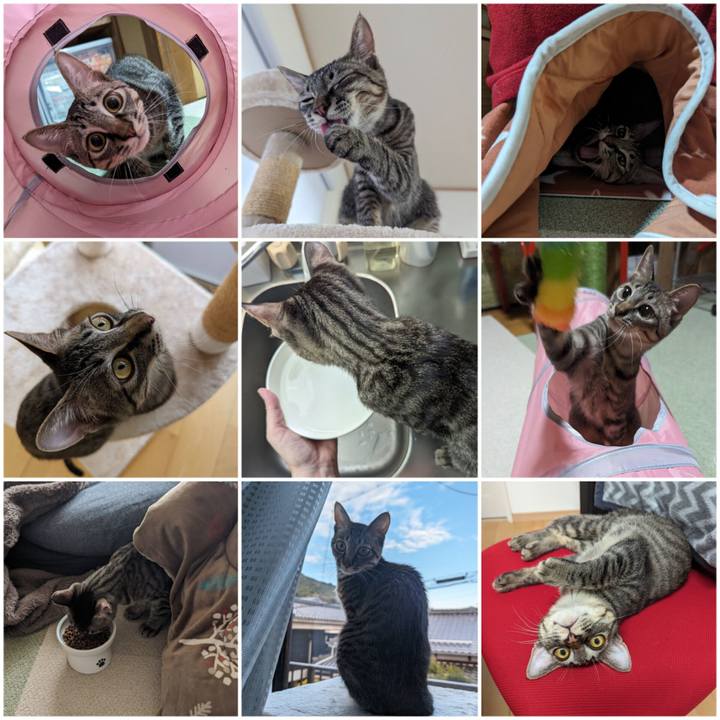 32d9cb94 6324 47b9 b52b 45b075008116 1712465863454