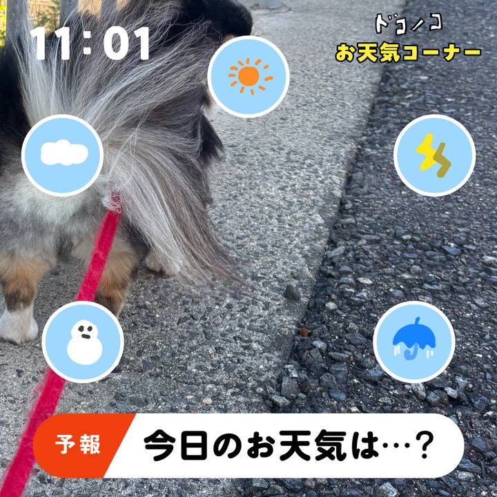 32d9d1be 47ff 4438 bb7b 403ca600657e 1781771710898