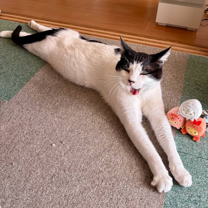 32da5e7c a69b 476a 809c abfefd6bcb33 1768197240956