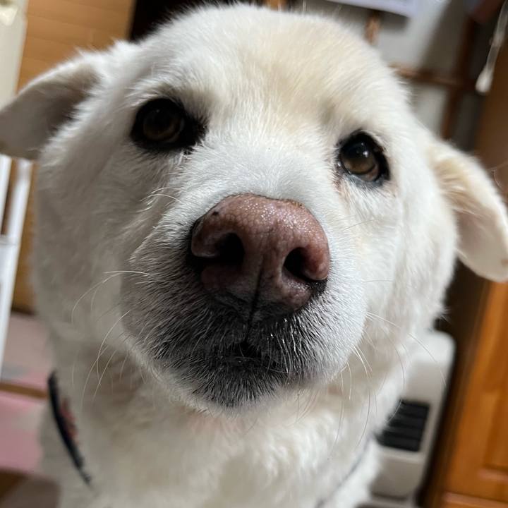 32da5ff0 509d 44e7 86f0 f6d9a0f9344f 1764199853098