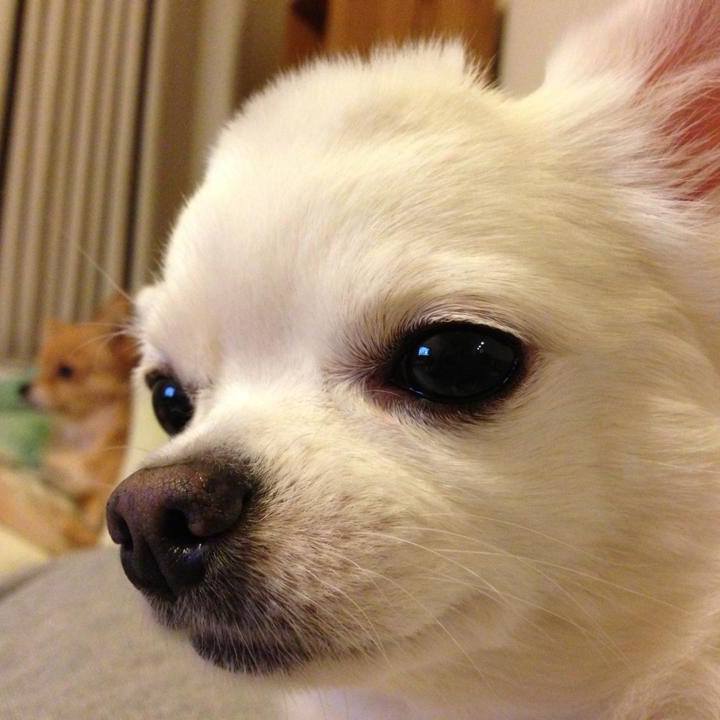 32da6192 7a76 4ed6 a7a5 9a02eeb7a760 1605959091631