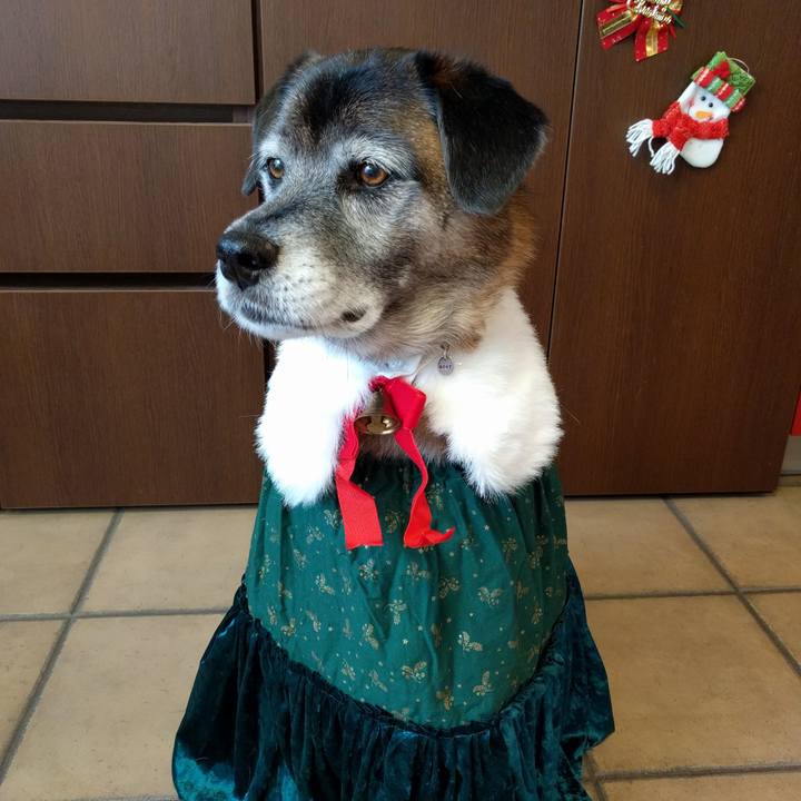 32da6869 d0b0 491e 94ac 758914e290c2 1514089777184