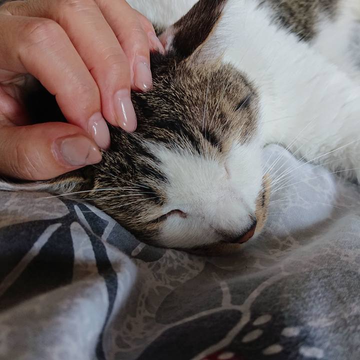 32da6c02 e27b 4b47 8eea 55cd73547fdf 1691025155261