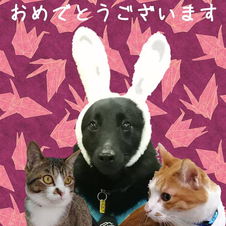 32daa143 7bae 4709 9759 51691a7a009c 1672524450076