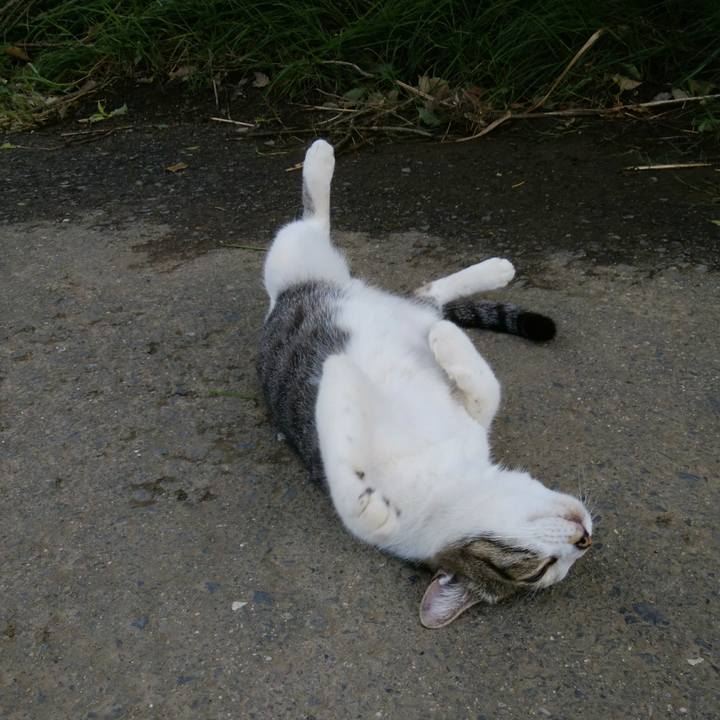 32dad947 9ee4 4f38 9e1e 69353aff4c62 1535069630257