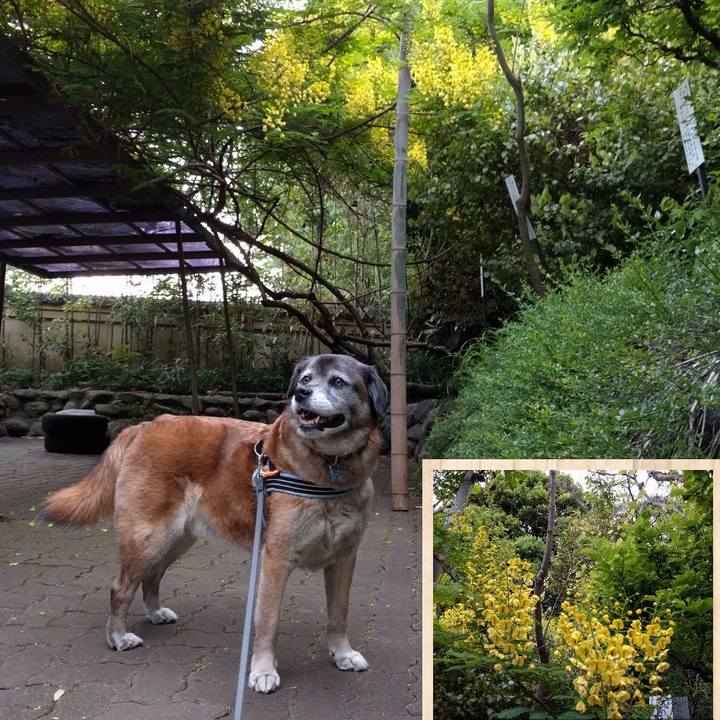 32daf22a 3764 4d39 a936 50ffb39ef19a 1524739873852