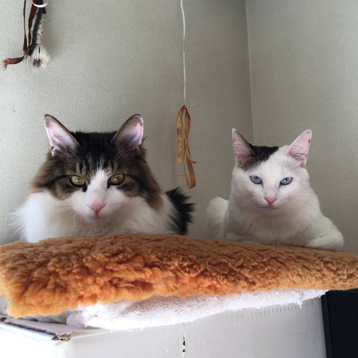 32db1bfb b7a8 48e5 b441 fe336d84e9e4 1519107599640