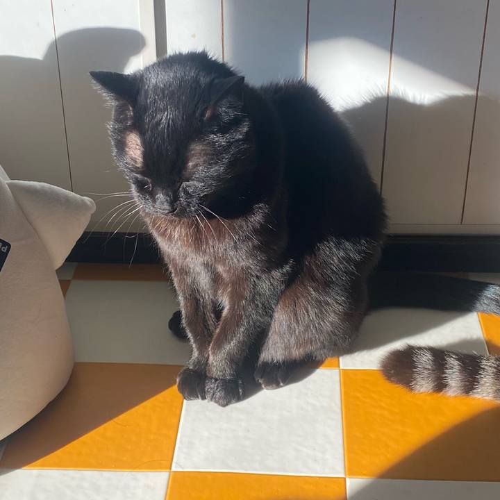 32db5a36 bc19 41f1 ac03 64e607ae27bb 1732923398628