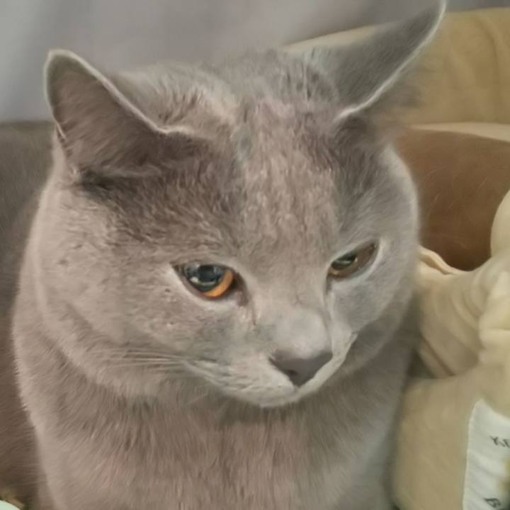 32db76db e39c 4e4e 962b 48189983dca2 1572308830655