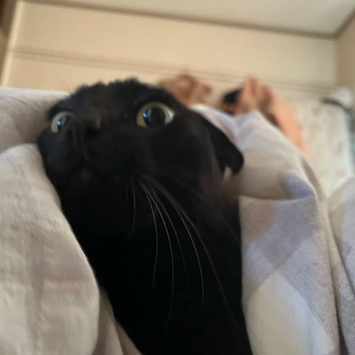 32db8636 833d 45f0 8f9f ccb1c6241d24 1740618425972