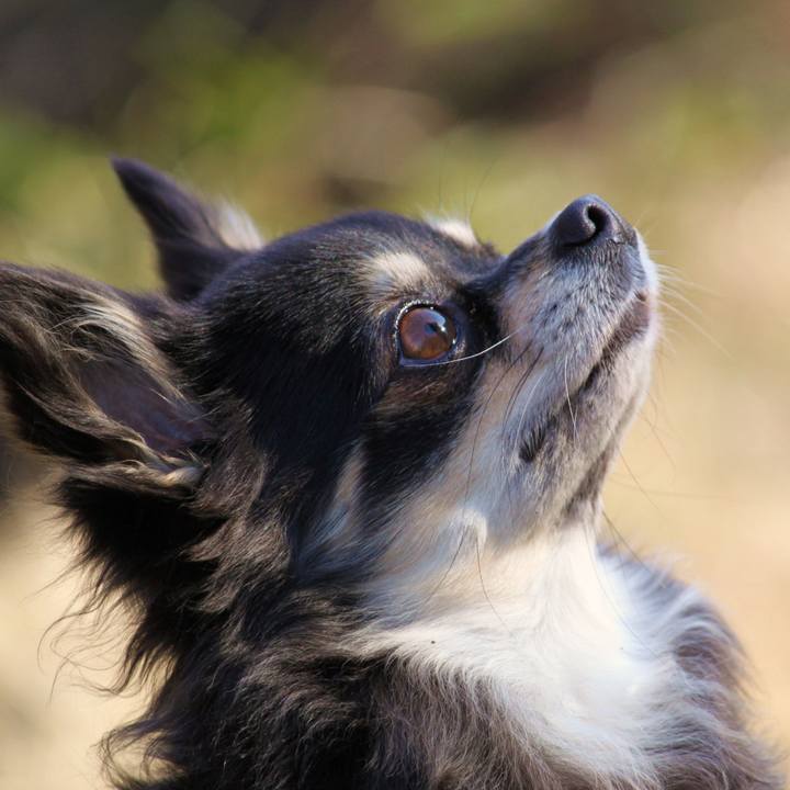 32db9b9b 727b 400d 83a5 b2b7317789f4 1538837806025