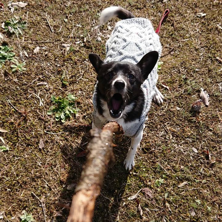 32db9c15 a03e 4c81 8596 6f13a2cf8927 1545744838354