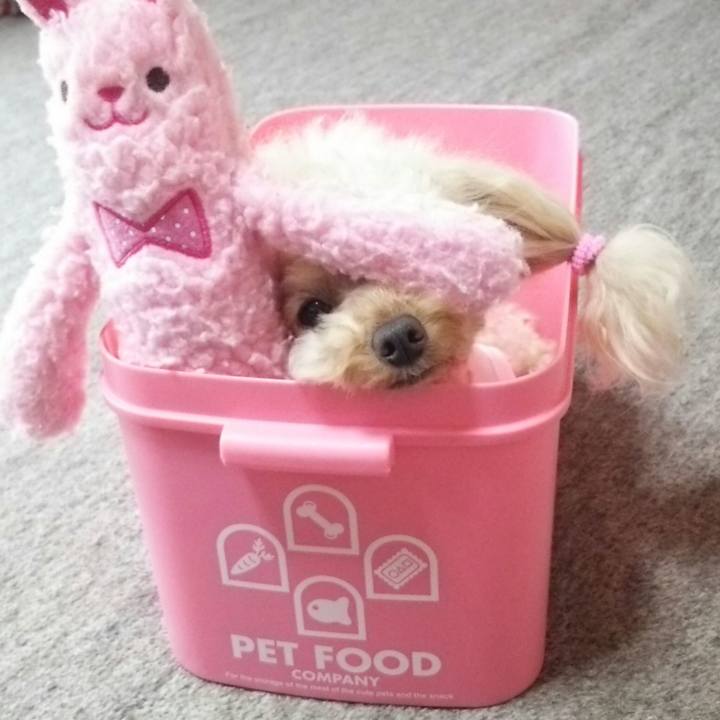 32dbb932 90db 4448 8357 7f993d120968 1532160763670