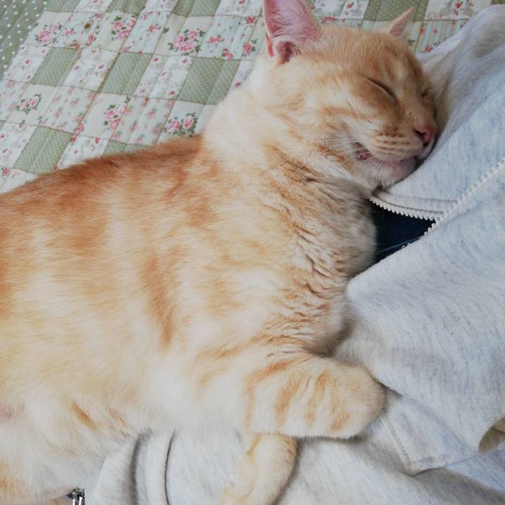 32dbbeaf 1e17 481f 8043 e7775b53a14a 1622501150539