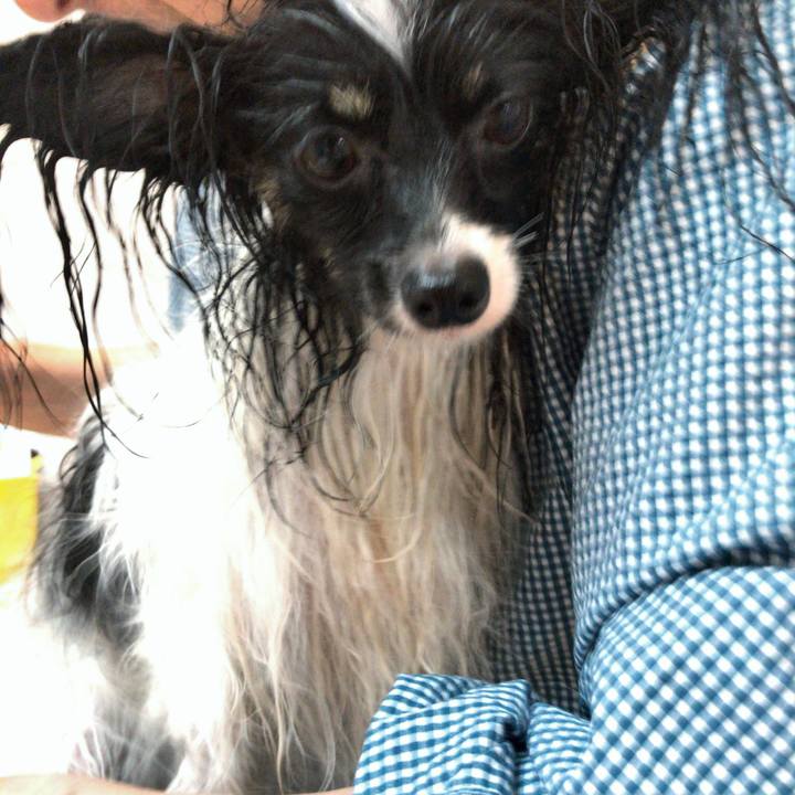 32dbdd83 9aa0 44e4 a97d cb4038e55828 1526190413645