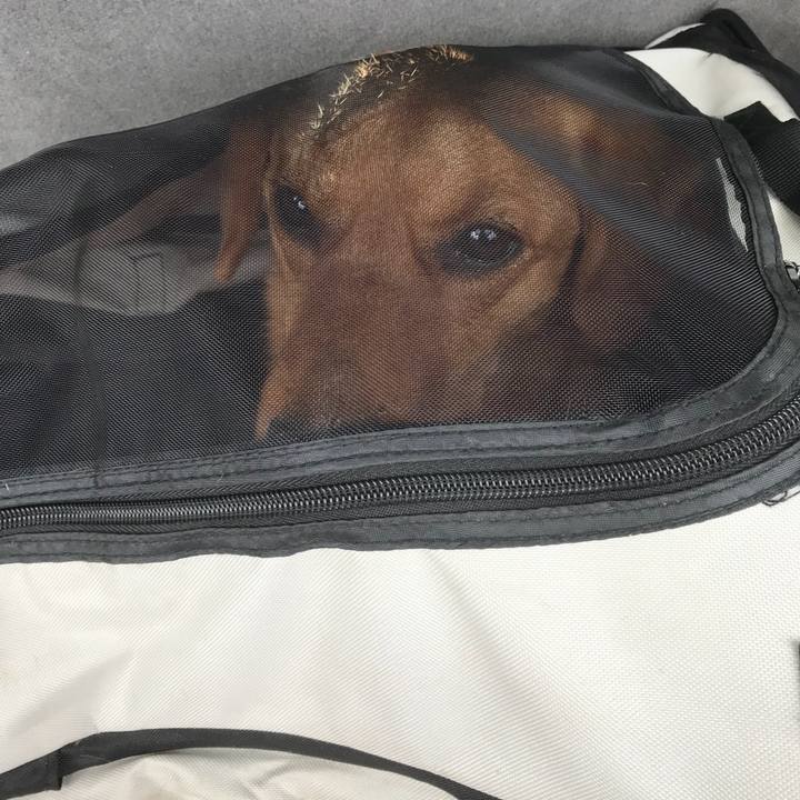 32dc103a a873 4ef3 8b16 9d1bc46952f9 1523074738473