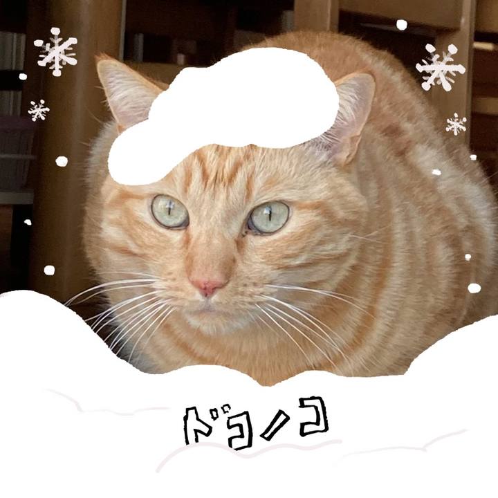 32dc260f 7e8a 45f1 95e0 5b2492b4e8a7 1772193381592