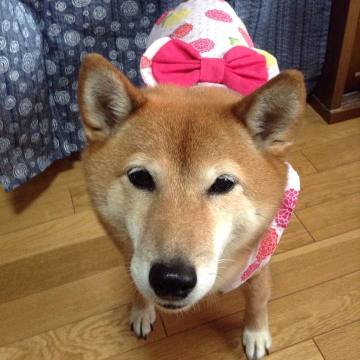 32dc3aa3 7f7f 4d2e b136 a58fd25a94cc 1532078234013