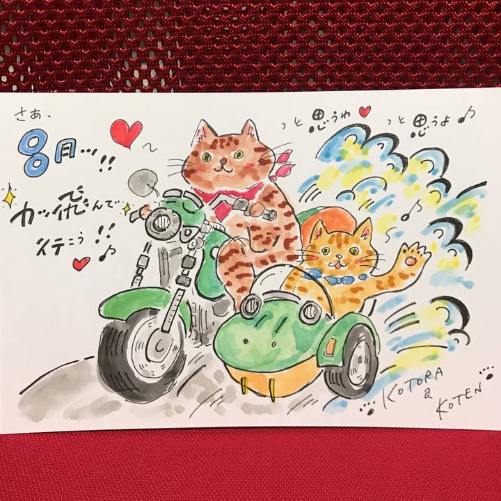 32dc86f9 77ba 481b b1bc 51bc97df7284 1564678387590