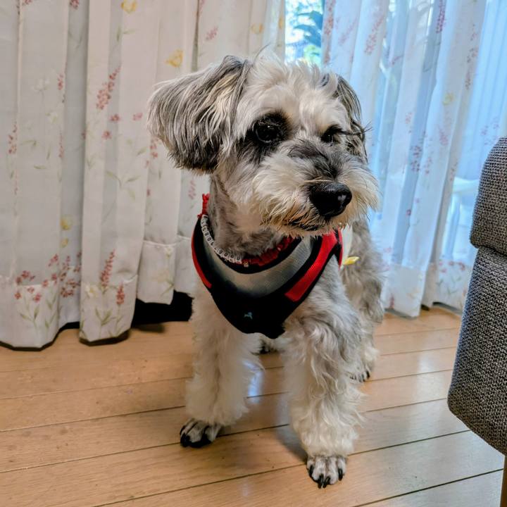 32dc908f f604 4d89 99dd 3ef8f67c95e4 1760138254600