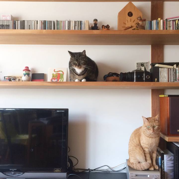 32dcbf45 68a5 45fe adac 5bc58bba2978 1521932062191