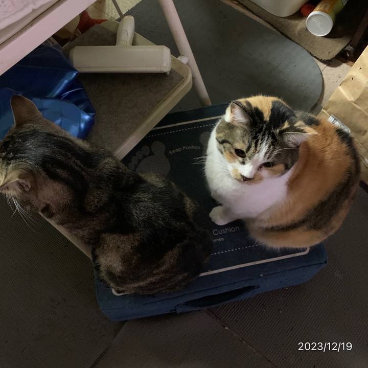 32dcc630 857e 4659 842d bfa92ea95d9b 1702937141084