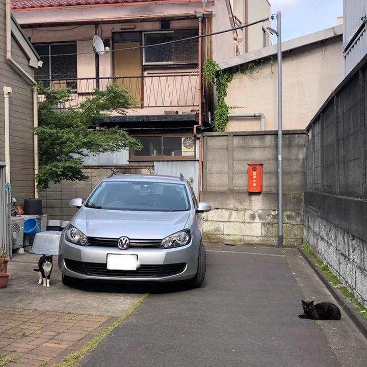 32dd08a5 b04c 4e23 ac76 5f990fcbf223 1558190007492