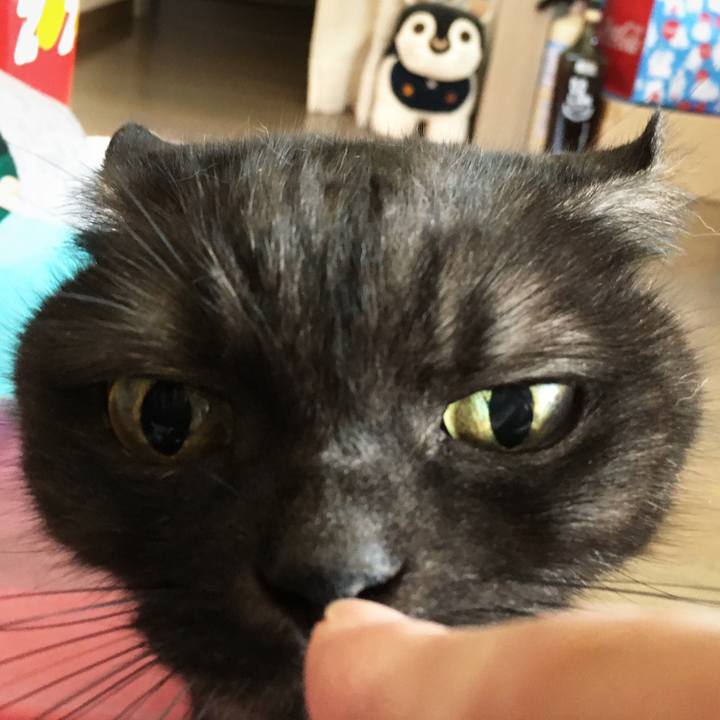 32dd77af 064f 4239 b930 76652479c509 1582165089803