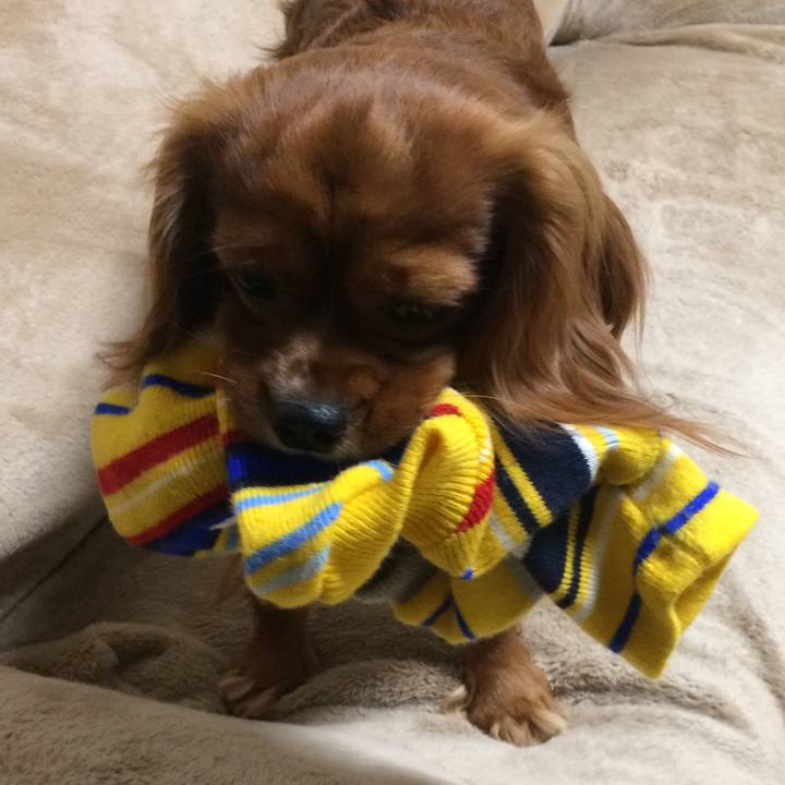 32dd7f23 7b85 4933 935c db94902ad584 1523311169226