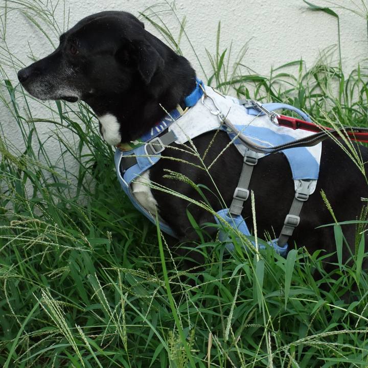 32dd88c2 51e9 48e2 bfe7 7cc1c1b62192 1723592952096