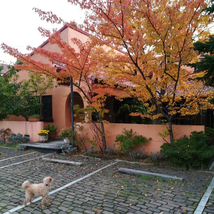 32dd99ad ba6b 48f0 a4d5 6b9e77dd6386 1571704770793