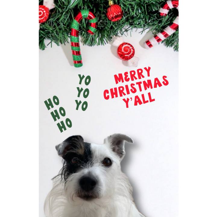 32dda02c 96fe 4afc 93e9 f6a90ea2f943 1703373990381