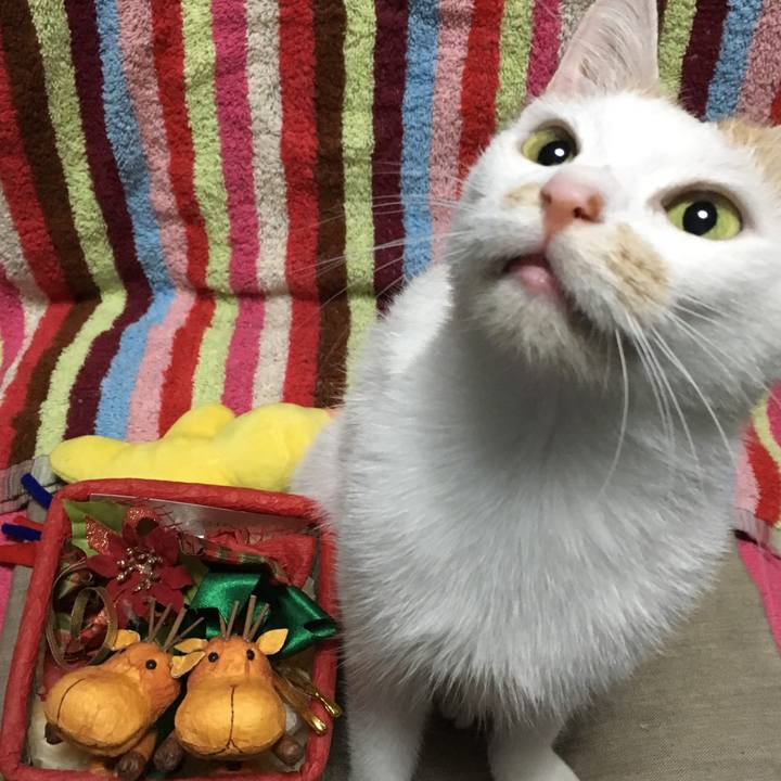 32ddb848 0b8e 42e0 9d99 79800a9ae47f 1540633613252